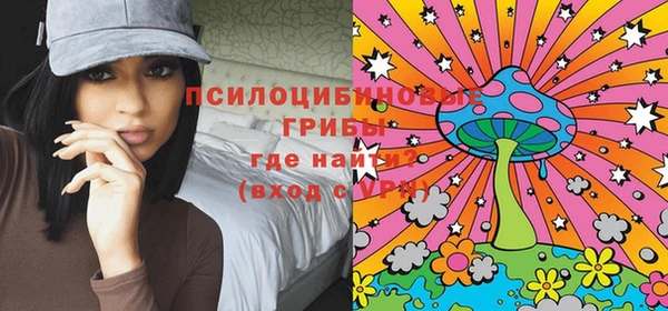 соль ск Янаул