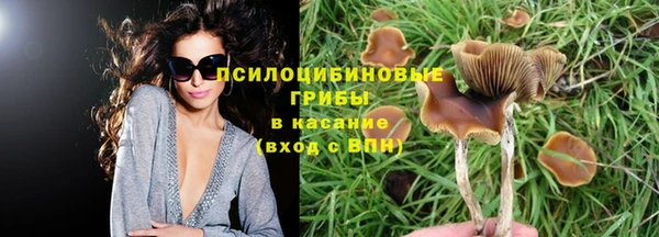 соль ск Янаул