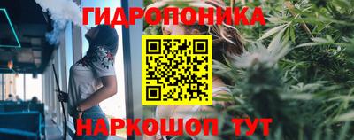 мяу мяу мука Камышлов