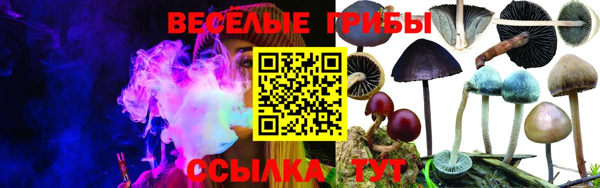 Чита  Псилоцибиновые грибы GOLDEN TEACHER  Вход с VPN  Галлюциногенные грибы мицелий 